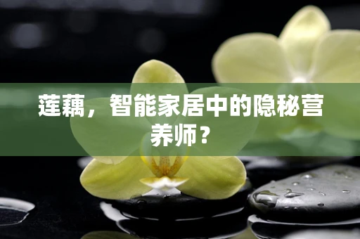 莲藕，智能家居中的隐秘营养师？