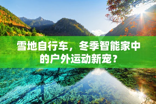雪地自行车，冬季智能家中的户外运动新宠？