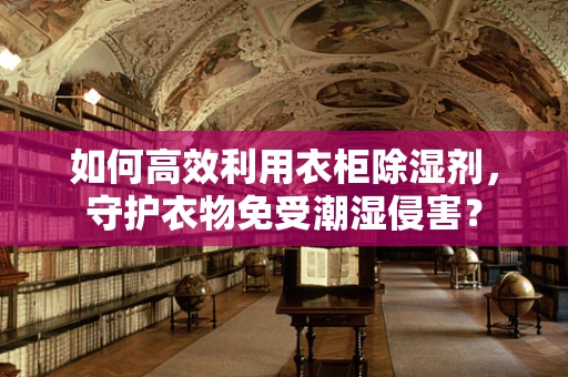 如何高效利用衣柜除湿剂，守护衣物免受潮湿侵害？
