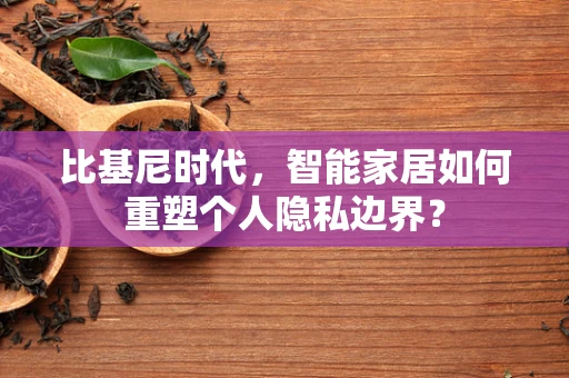 比基尼时代，智能家居如何重塑个人隐私边界？
