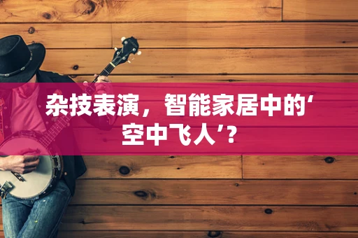 杂技表演，智能家居中的‘空中飞人’？