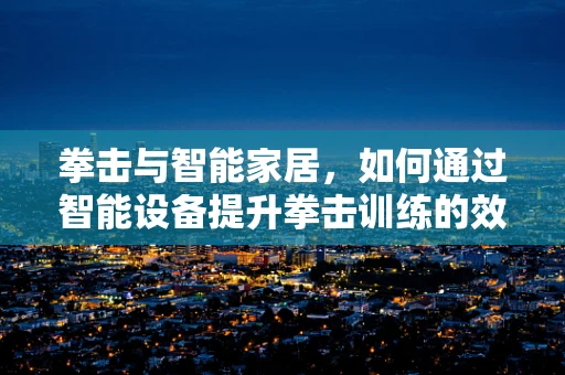 拳击与智能家居，如何通过智能设备提升拳击训练的效率与安全？