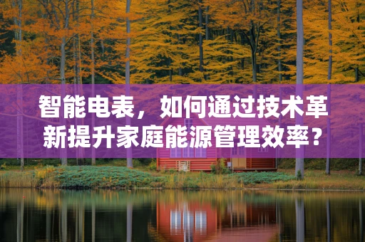 智能电表，如何通过技术革新提升家庭能源管理效率？