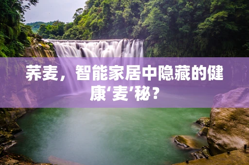 荞麦，智能家居中隐藏的健康‘麦’秘？
