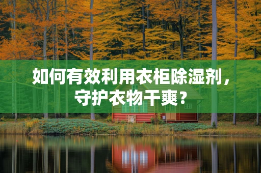 如何有效利用衣柜除湿剂，守护衣物干爽？