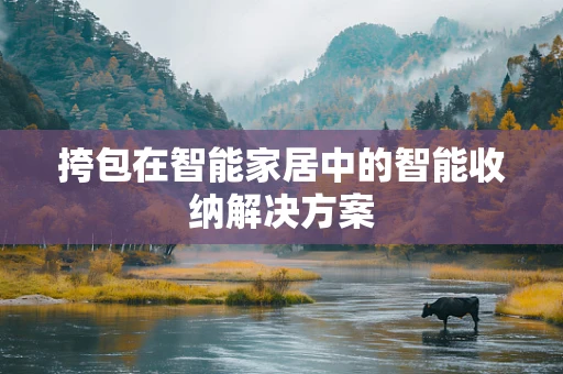 挎包在智能家居中的智能收纳解决方案