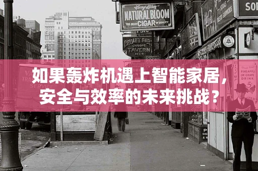 如果轰炸机遇上智能家居，安全与效率的未来挑战？