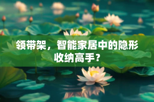 领带架，智能家居中的隐形收纳高手？