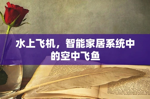 水上飞机，智能家居系统中的空中飞鱼