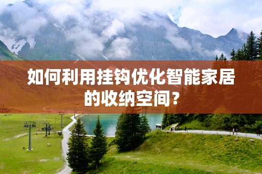 如何利用挂钩优化智能家居的收纳空间？