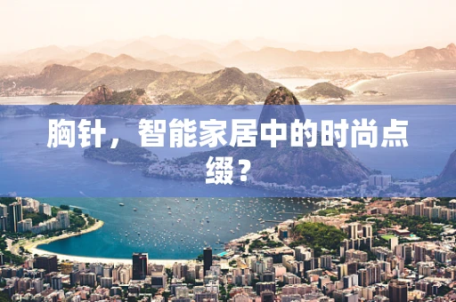 胸针，智能家居中的时尚点缀？