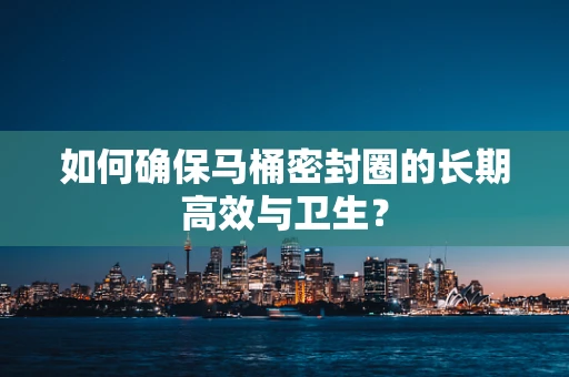 如何确保马桶密封圈的长期高效与卫生？