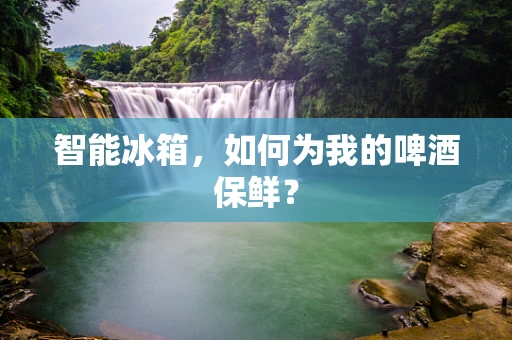 智能冰箱，如何为我的啤酒保鲜？