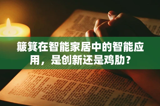 簸箕在智能家居中的智能应用，是创新还是鸡肋？
