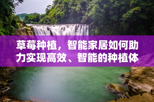 草莓种植，智能家居如何助力实现高效、智能的种植体验？