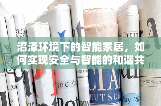 沼泽环境下的智能家居，如何实现安全与智能的和谐共生？