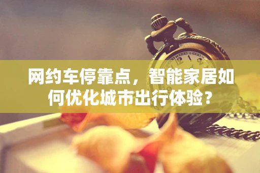 网约车停靠点，智能家居如何优化城市出行体验？