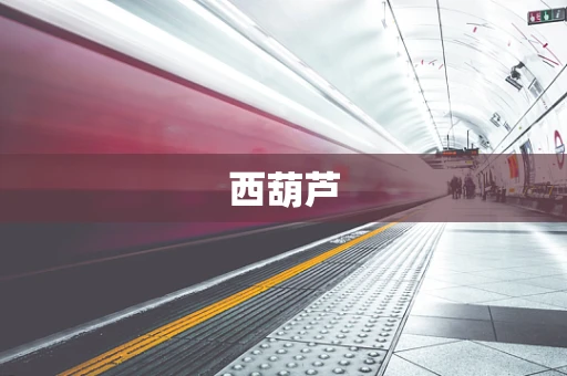 西葫芦