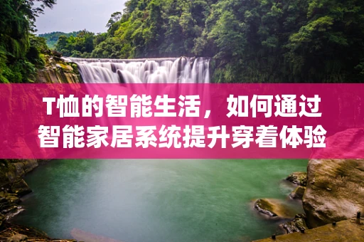 T恤的智能生活，如何通过智能家居系统提升穿着体验？