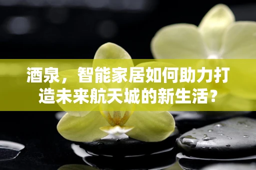 酒泉，智能家居如何助力打造未来航天城的新生活？