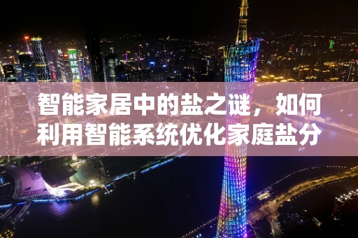 智能家居中的盐之谜，如何利用智能系统优化家庭盐分管理？