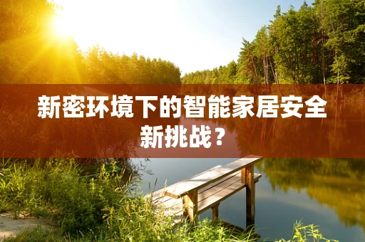 新密环境下的智能家居安全新挑战？