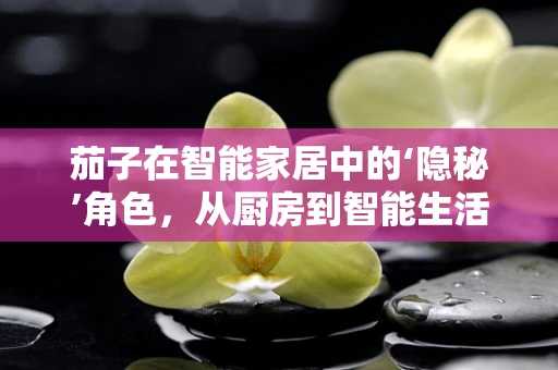 茄子在智能家居中的‘隐秘’角色，从厨房到智能生活的桥梁