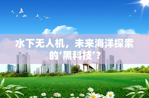 水下无人机，未来海洋探索的‘黑科技’？