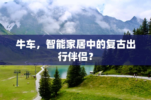 牛车，智能家居中的复古出行伴侣？