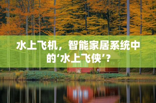 水上飞机，智能家居系统中的‘水上飞侠’？