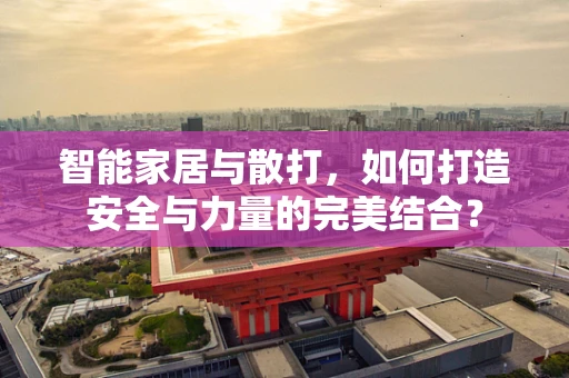智能家居与散打，如何打造安全与力量的完美结合？