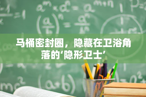 马桶密封圈，隐藏在卫浴角落的‘隐形卫士’