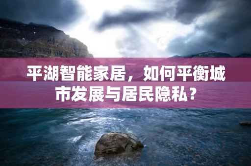 平湖智能家居，如何平衡城市发展与居民隐私？