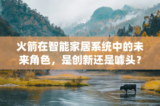 火箭在智能家居系统中的未来角色，是创新还是噱头？
