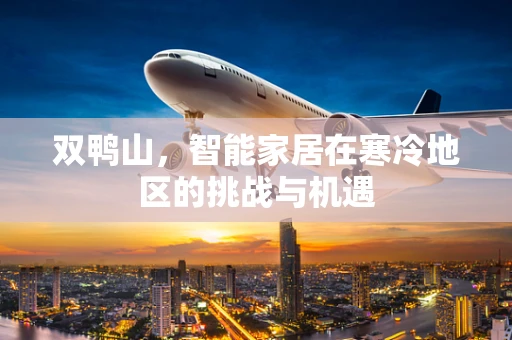 双鸭山，智能家居在寒冷地区的挑战与机遇