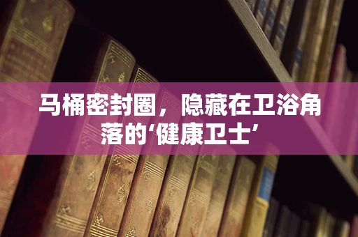 马桶密封圈，隐藏在卫浴角落的‘健康卫士’