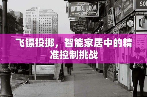 飞镖投掷，智能家居中的精准控制挑战
