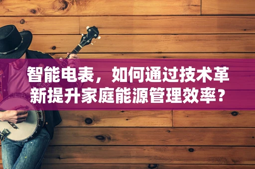 智能电表，如何通过技术革新提升家庭能源管理效率？