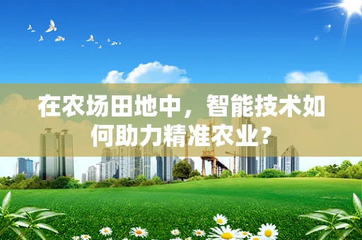 在农场田地中，智能技术如何助力精准农业？