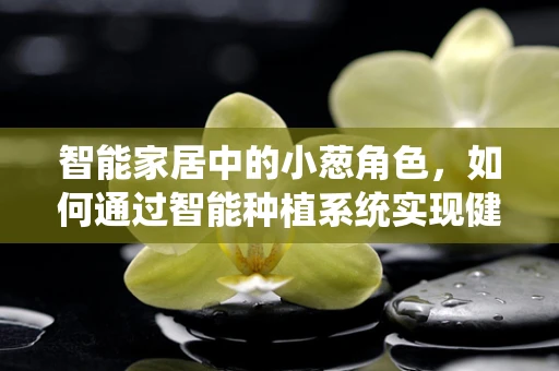 智能家居中的小葱角色，如何通过智能种植系统实现健康生活？
