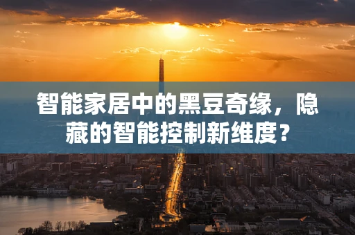 智能家居中的黑豆奇缘，隐藏的智能控制新维度？