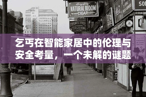 乞丐在智能家居中的伦理与安全考量，一个未解的谜题？