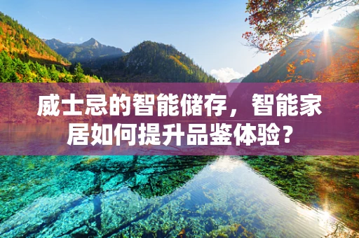 威士忌的智能储存，智能家居如何提升品鉴体验？