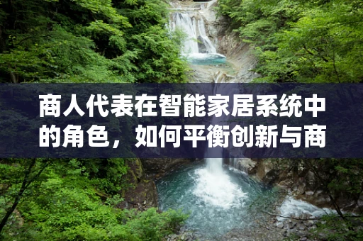 商人代表在智能家居系统中的角色，如何平衡创新与商业利益？