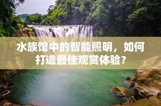 水族馆中的智能照明，如何打造最佳观赏体验？