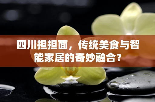 四川担担面，传统美食与智能家居的奇妙融合？