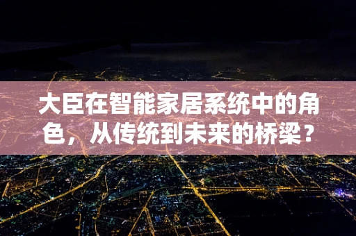 大臣在智能家居系统中的角色，从传统到未来的桥梁？