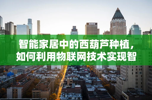 智能家居中的西葫芦种植，如何利用物联网技术实现智能灌溉？