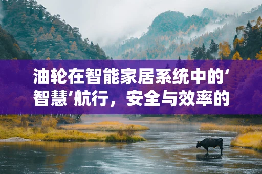 油轮在智能家居系统中的‘智慧’航行，安全与效率的双重挑战