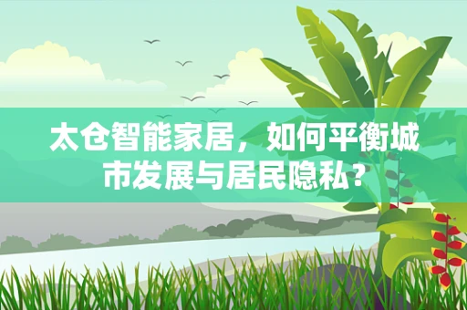 太仓智能家居，如何平衡城市发展与居民隐私？